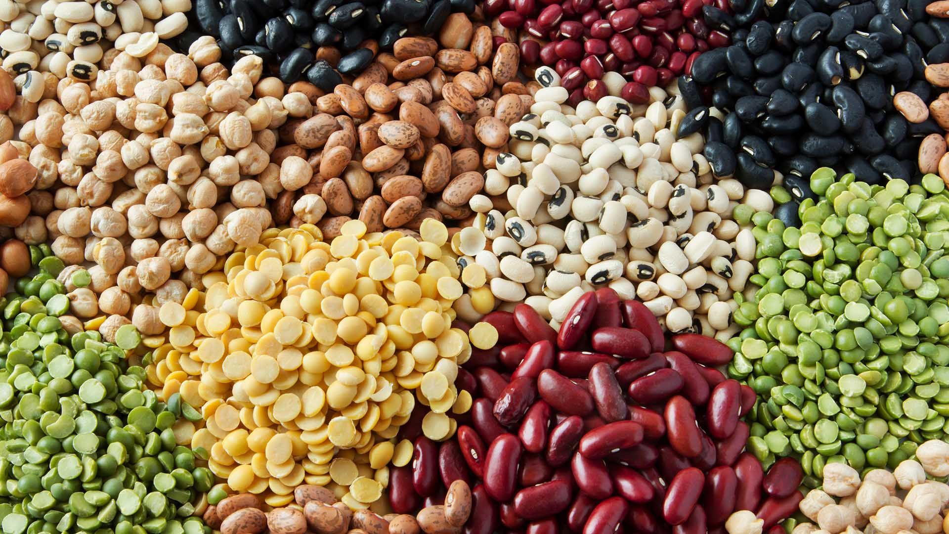 High-protein organic Indian pulses and lentils farmed sustainably
